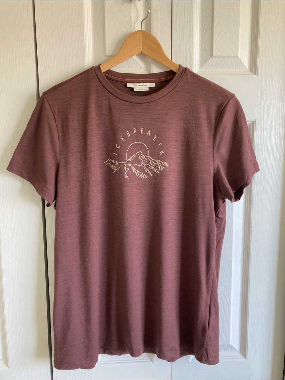 Icebreaker 100% Merino Short Sleeve Crewneck Size L